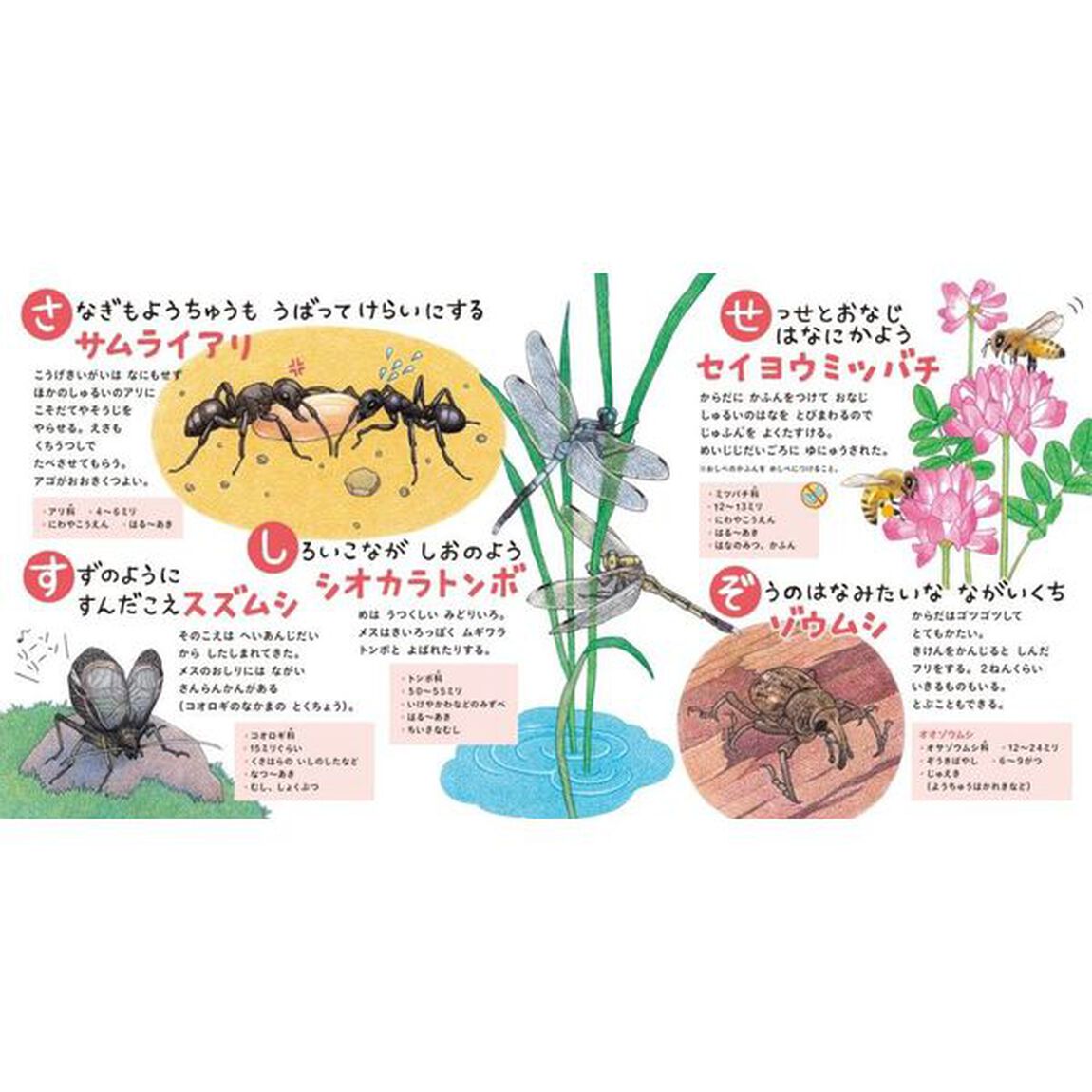 むしのずかん