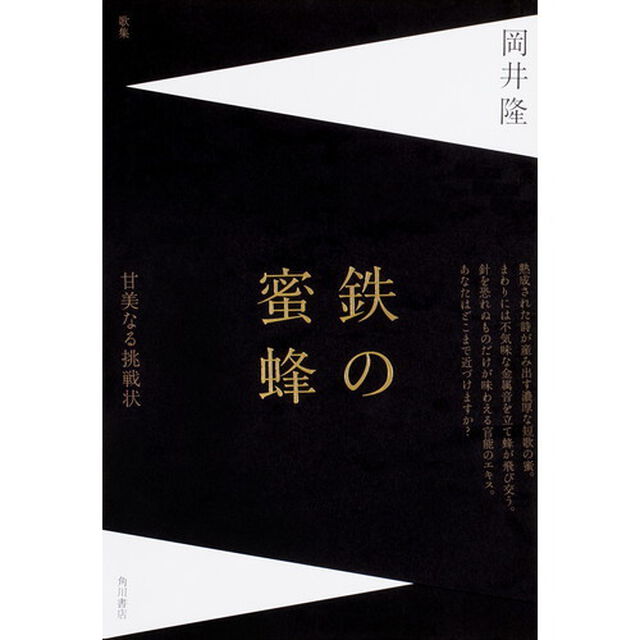 鉄の蜜蜂　岡井隆歌集