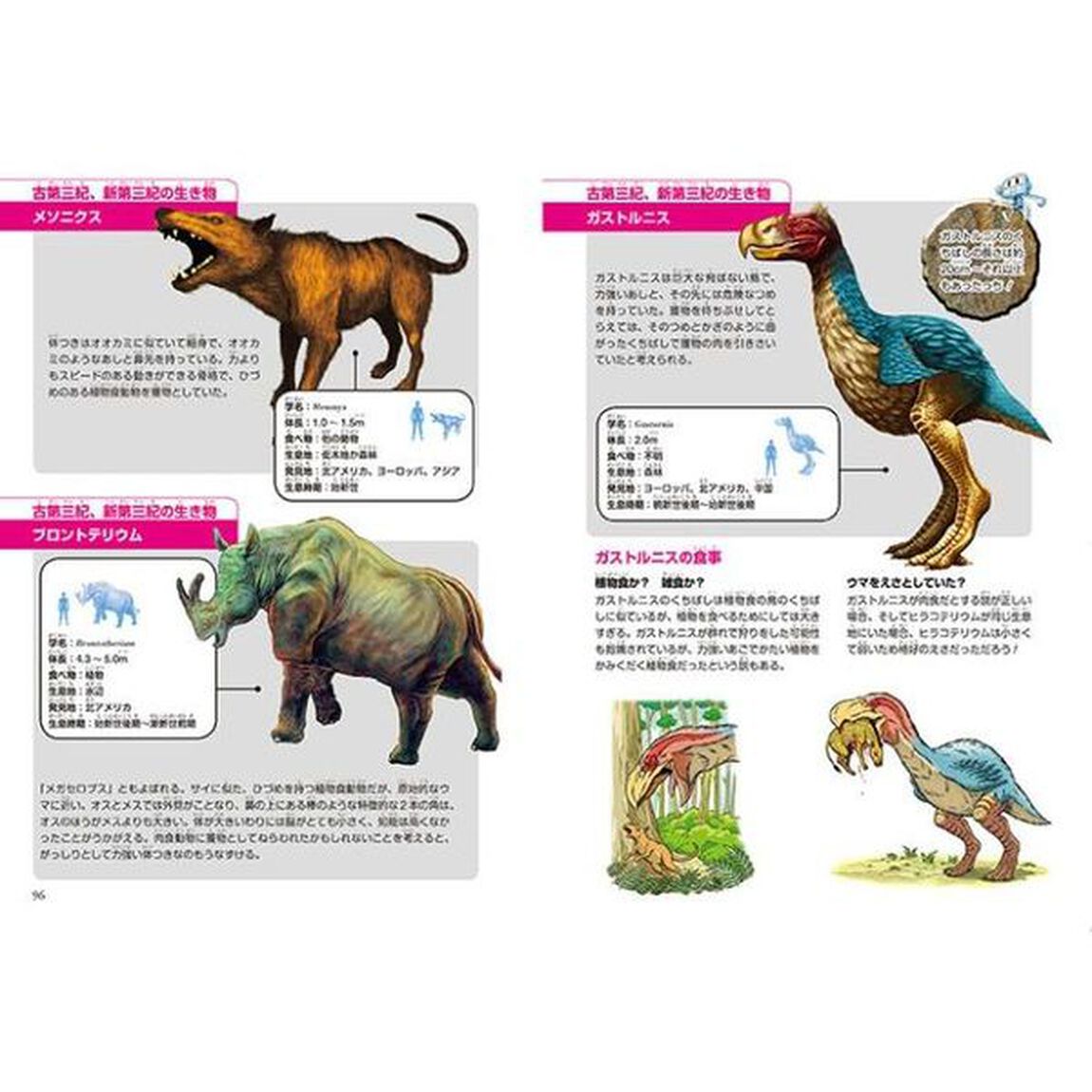 恐竜キングダム　１１「巨大肉食獣アンドリューサルクス」