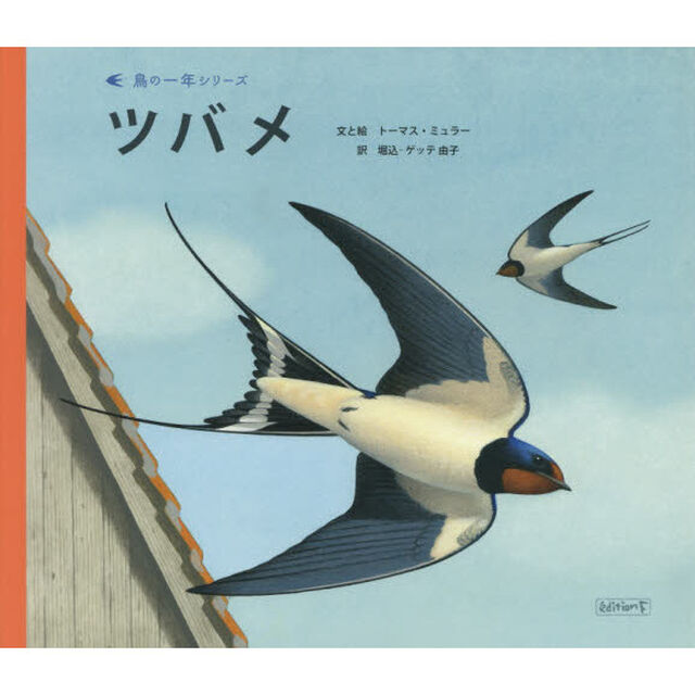 ツバメ