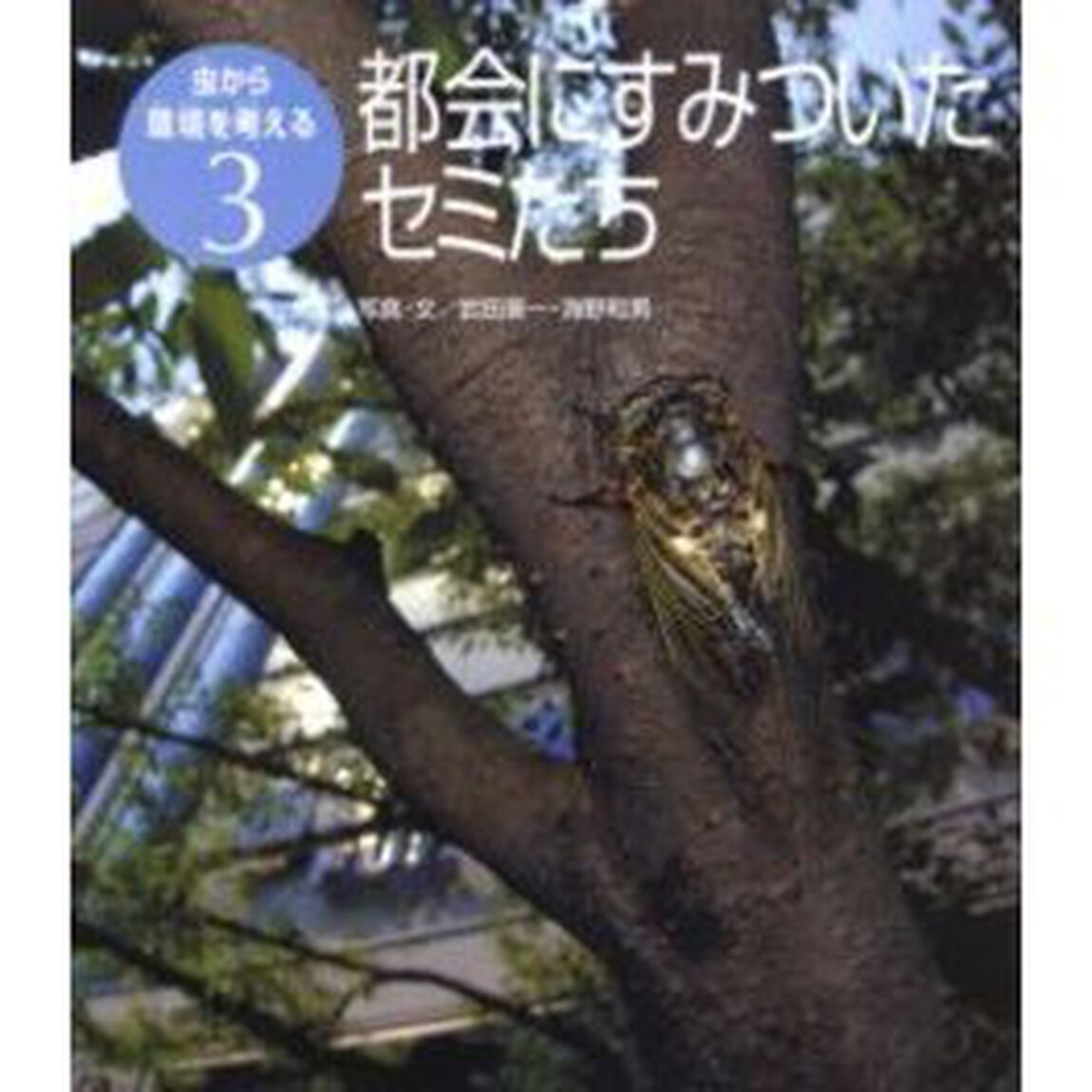 虫から環境を考える　３「都会にすみついたセミたち」