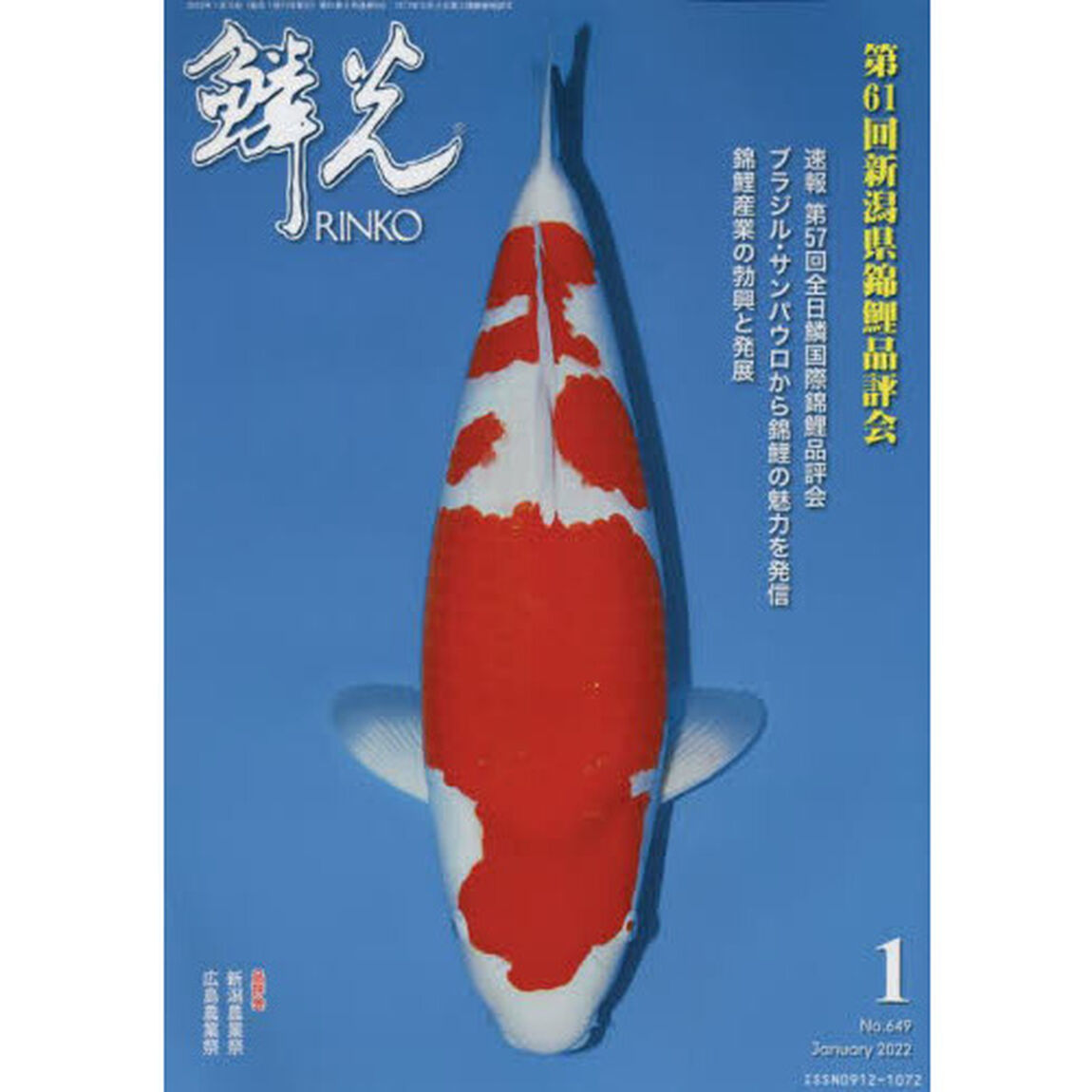 鱗光　２０２２－１「第６１回新潟県錦鯉品評会／速報第５７回全日鱗国際錦鯉品評会」