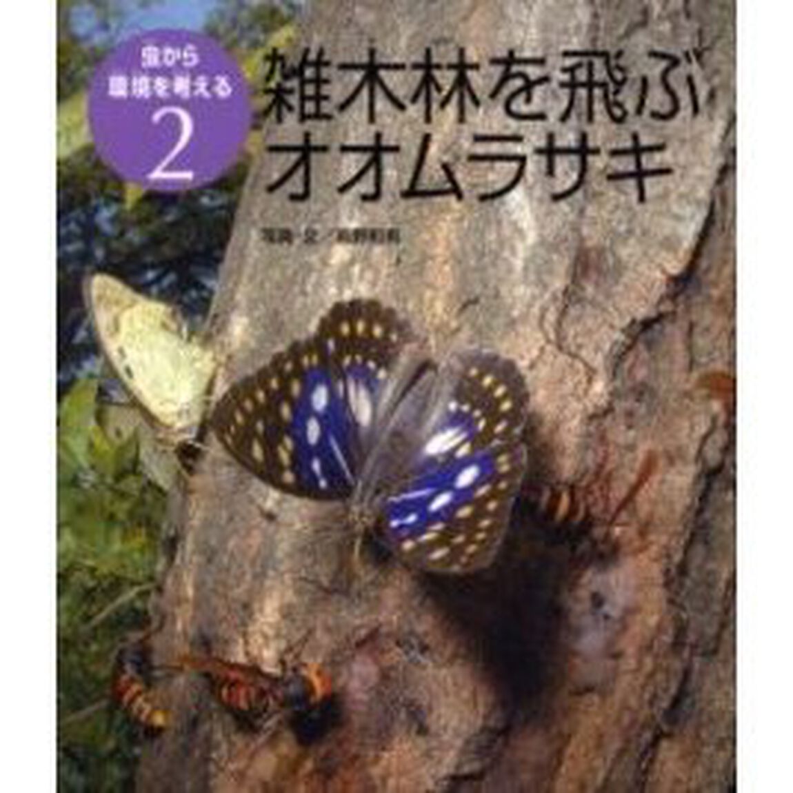 虫から環境を考える　２「雑木林を飛ぶオオムラサキ」