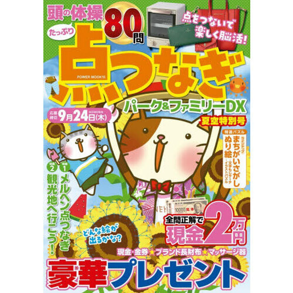 点つなぎパーク＆ファミリーＤＸ　夏空特別号