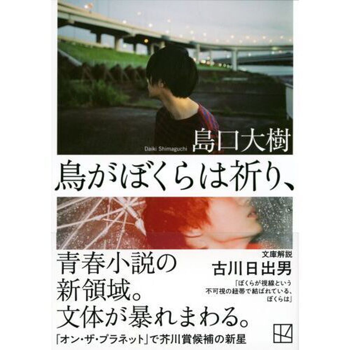 鳥がぼくらは祈り、