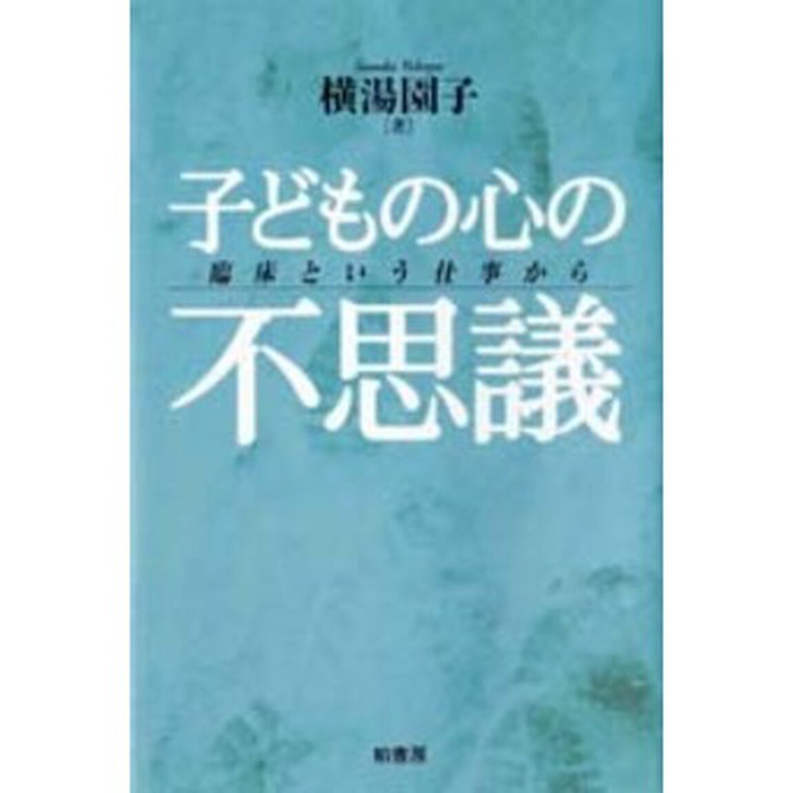 子どもの心の不思議　臨床という仕事から