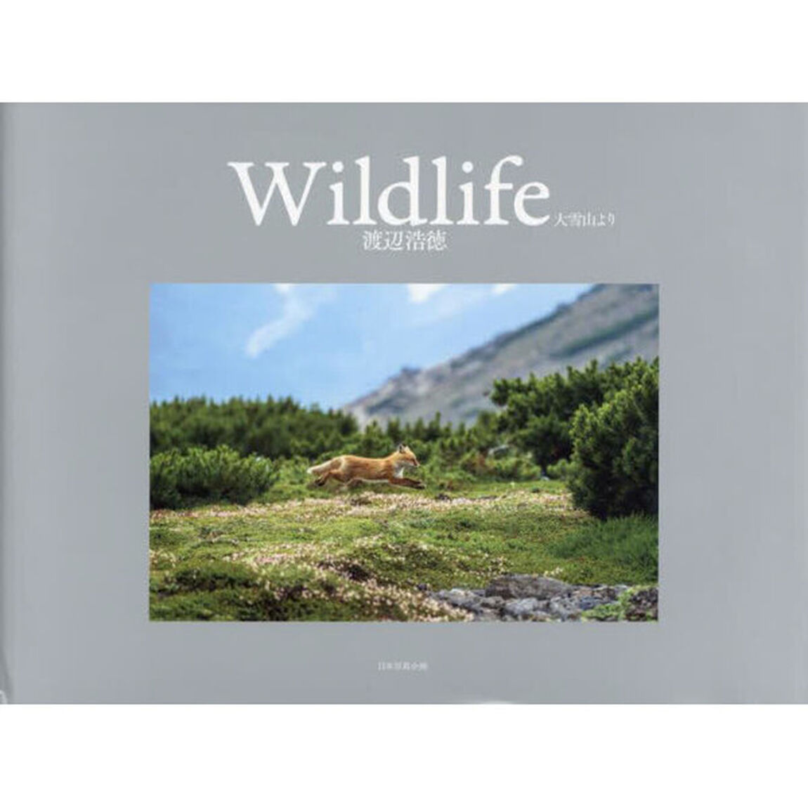 Ｗｉｌｄｌｉｆｅ　大雪山より
