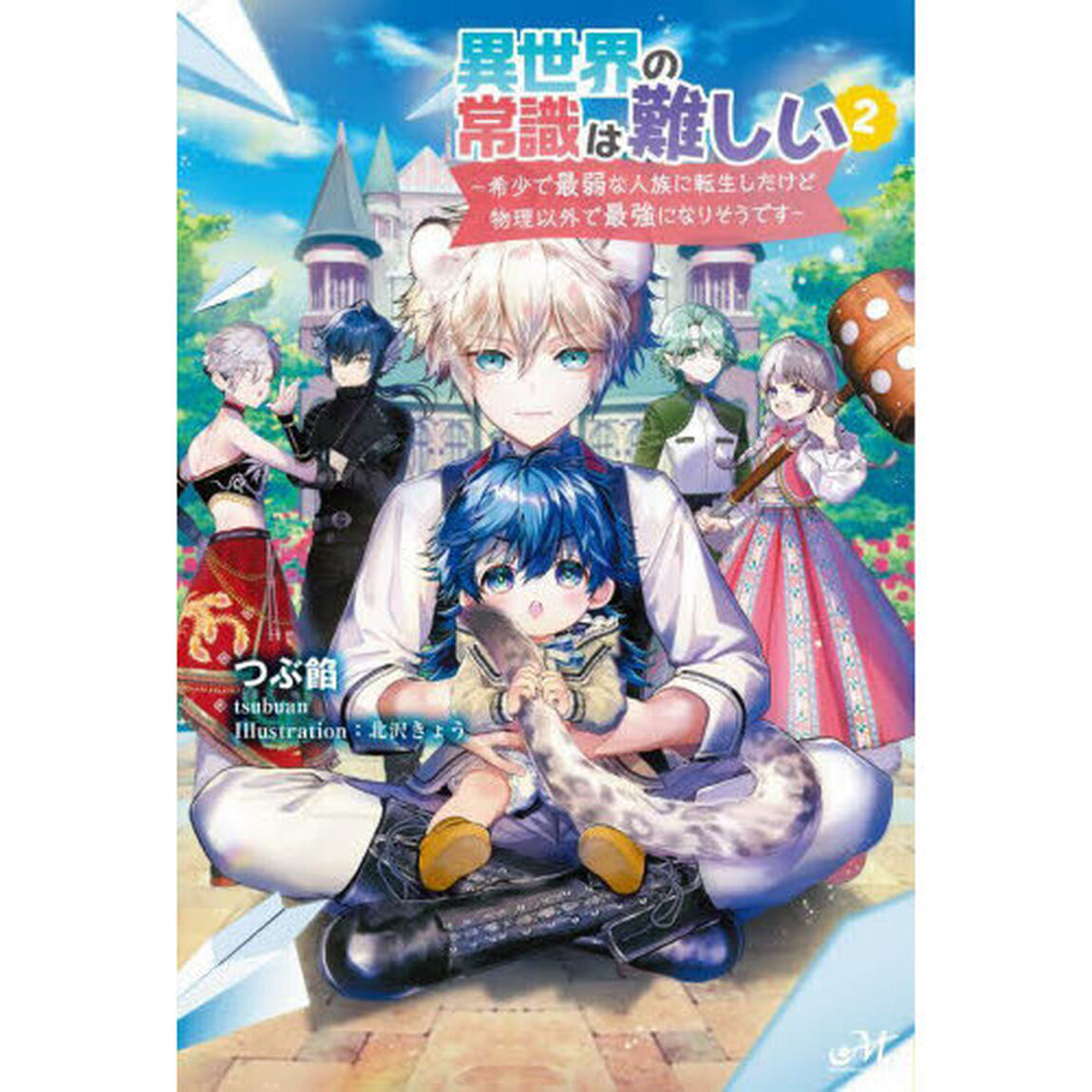 異世界の常識は難しい　希少で最弱な人族に転生したけど物理以外で最強になりそうです　２