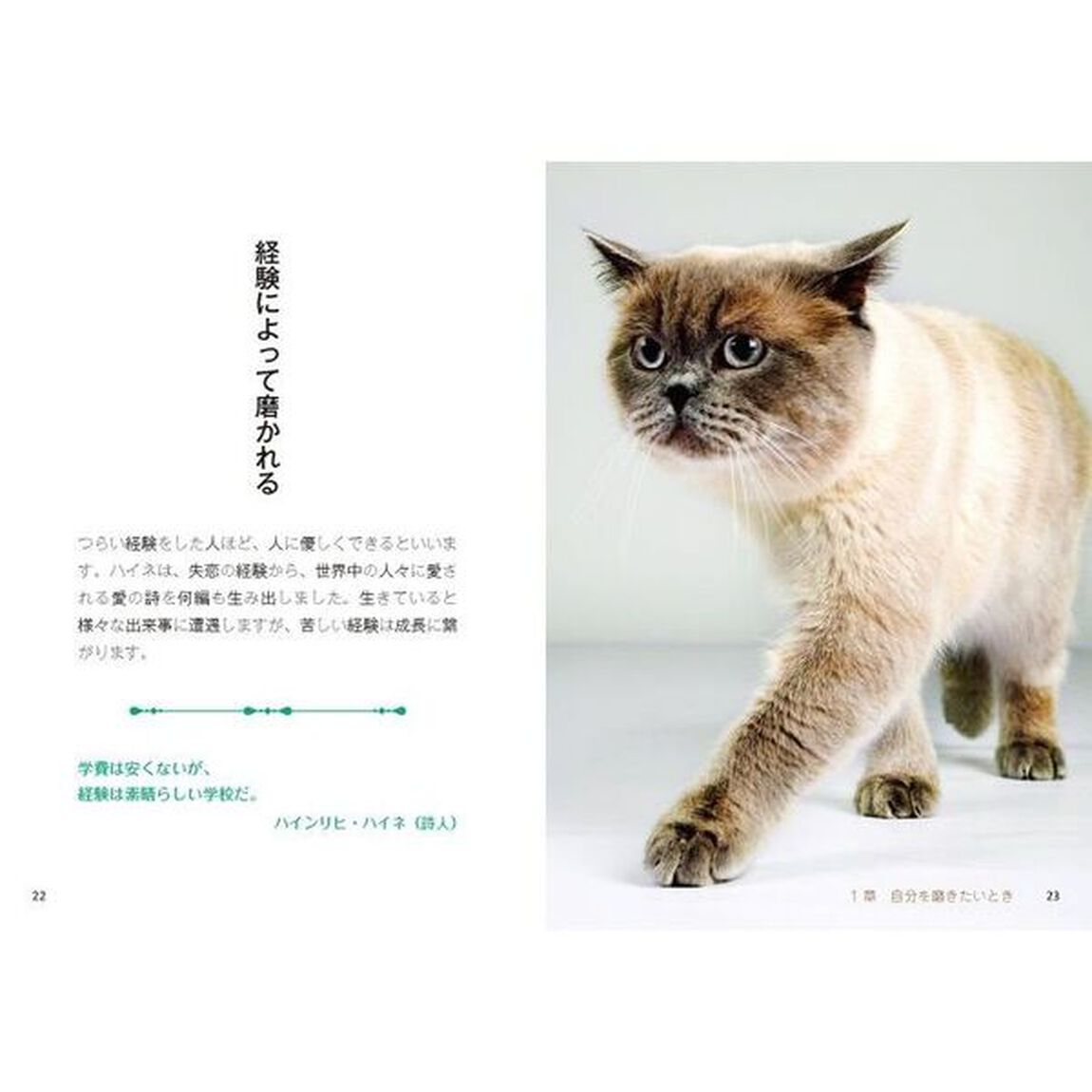 にゃんこセラピー　１分で幸せになれる言葉