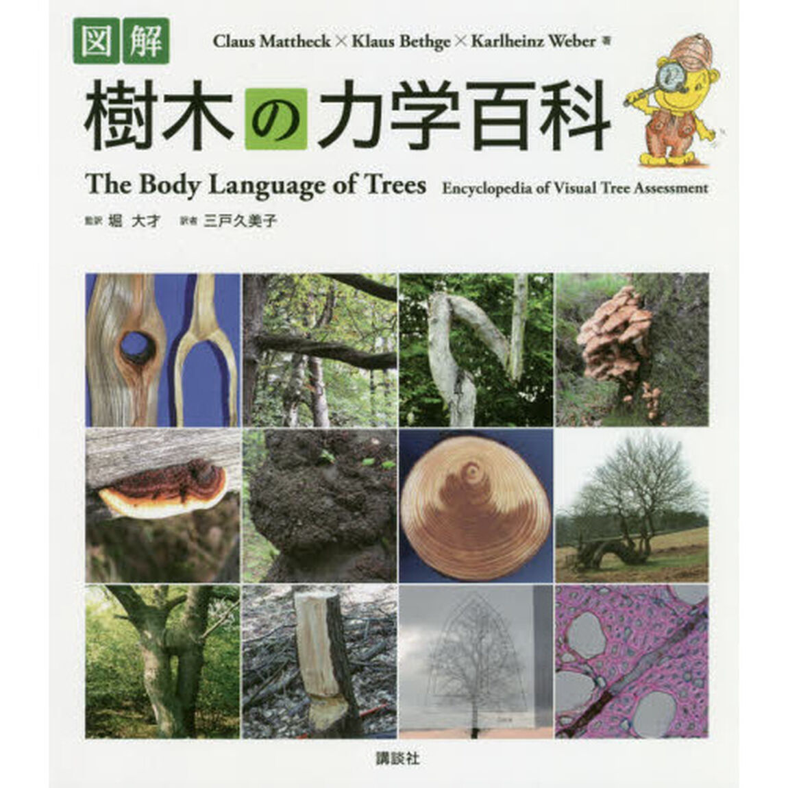 図解樹木の力学百科