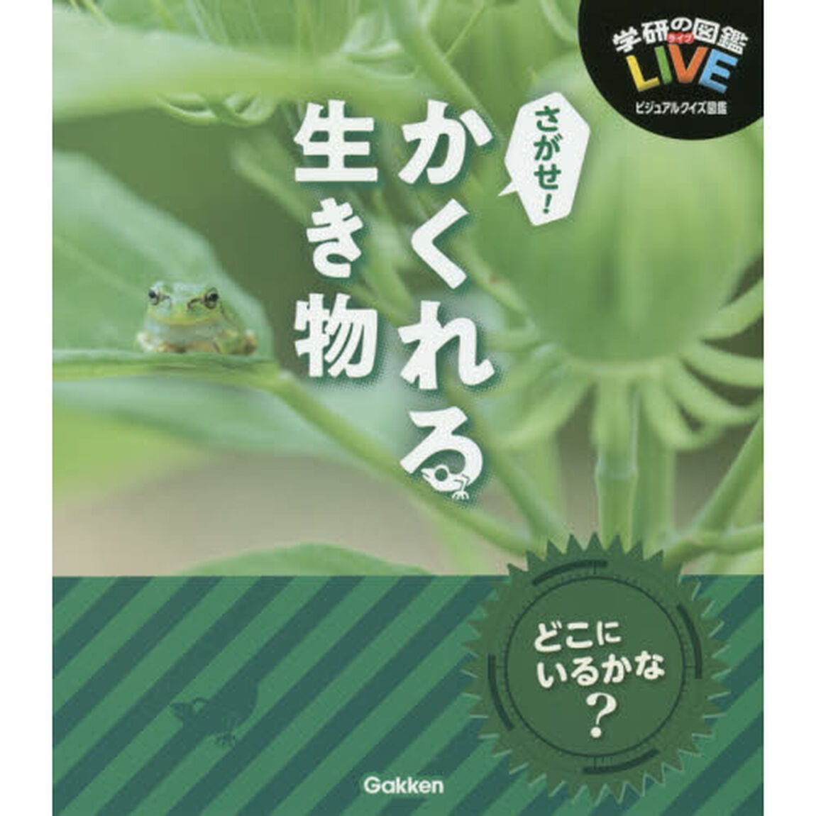 さがせ！かくれる生き物