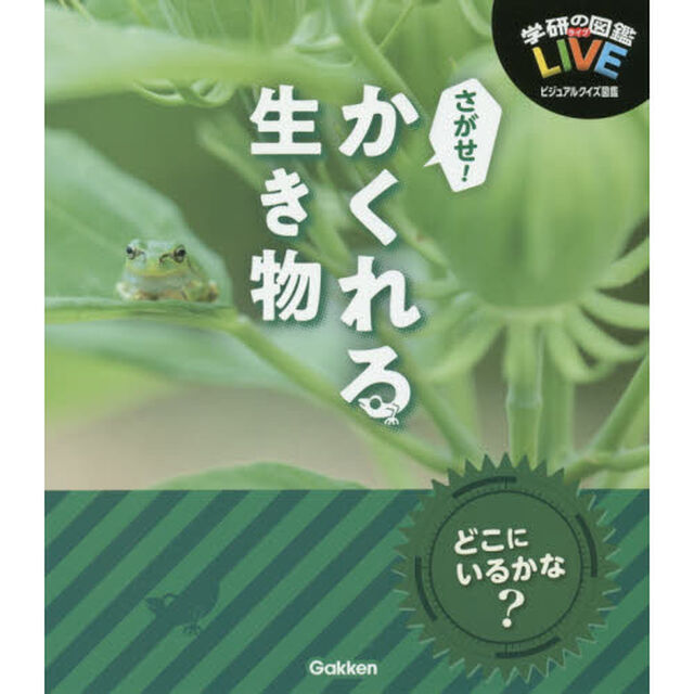 さがせ！かくれる生き物
