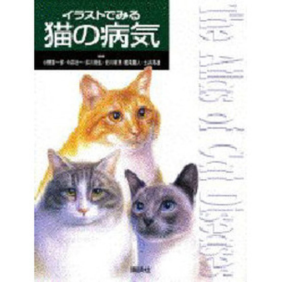 イラストでみる猫の病気