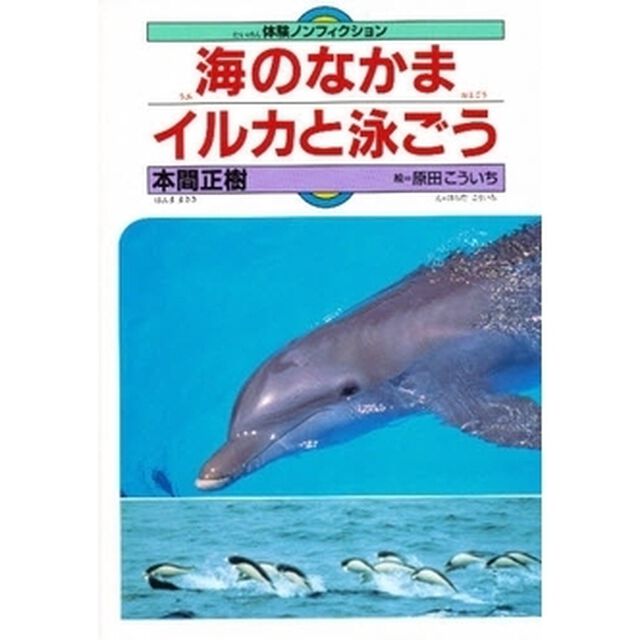 海のなかまイルカと泳ごう