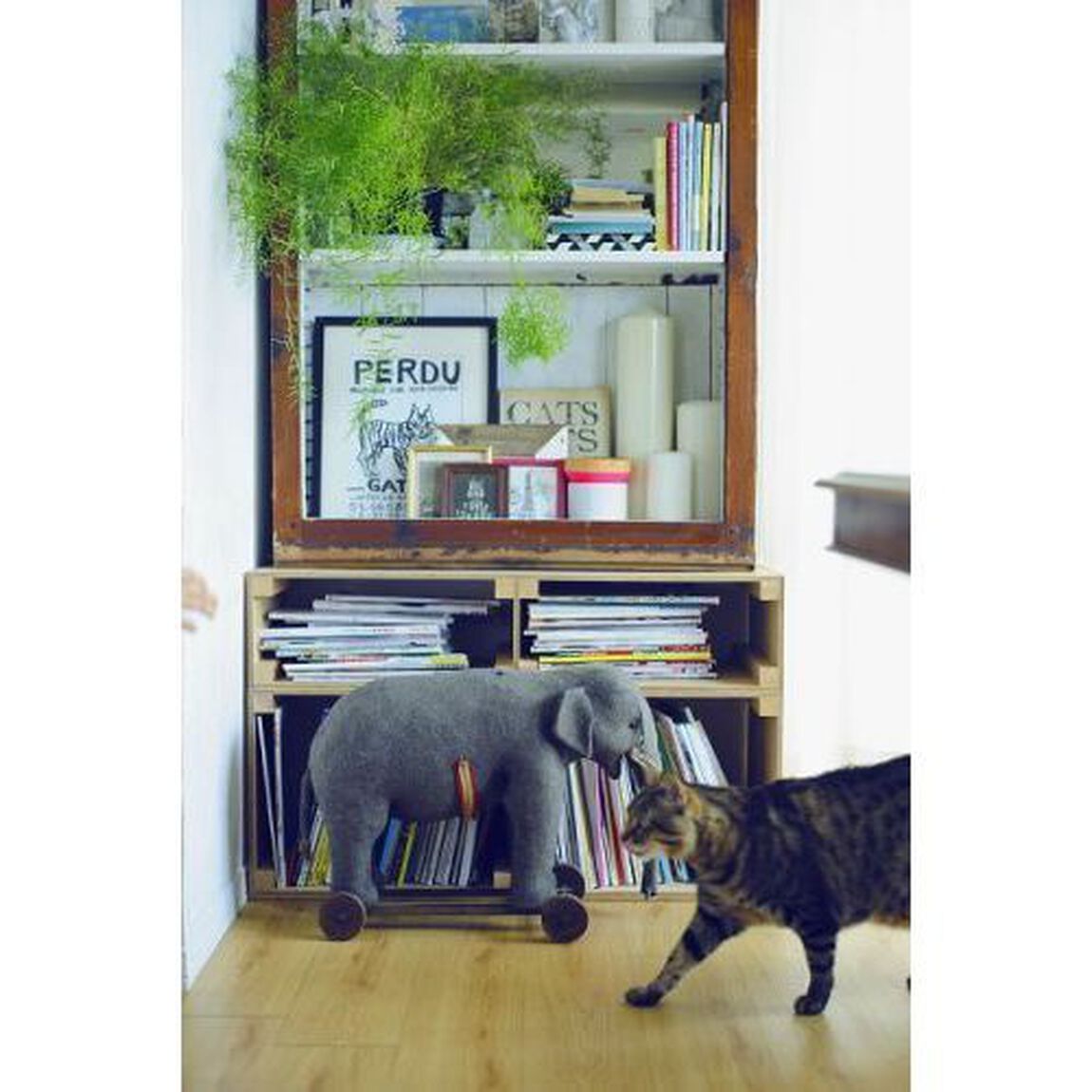 ＩＮＴＥＲＩＯＲ　ＴＲＩＰ　雅姫が巡る、１５の居心地がいい家