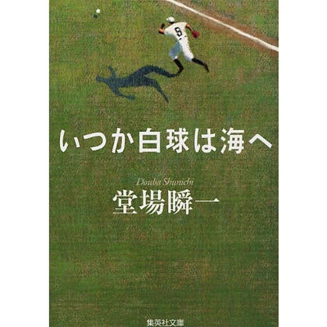 いつか白球は海へ