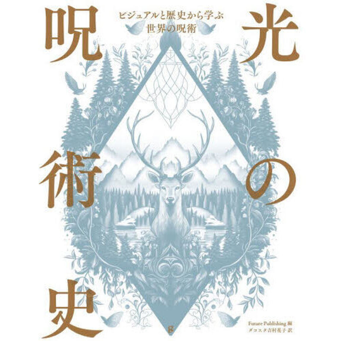 光の呪術史　ビジュアルと歴史から学ぶ世界の呪術