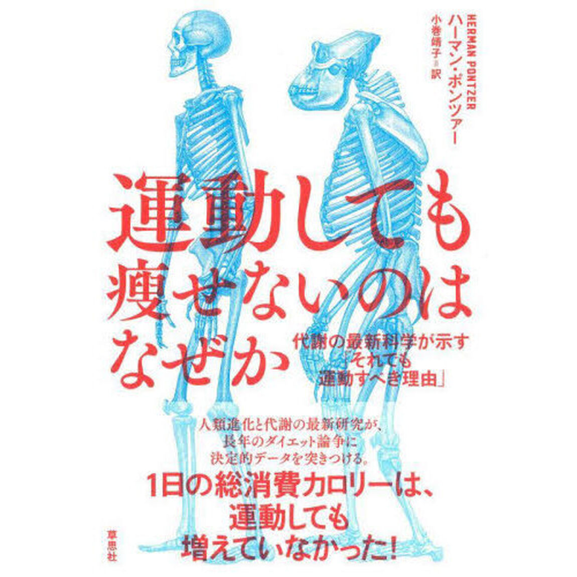 運動しても痩せないのはなぜか　代謝の最新科学が示す「それでも運動すべき理由」