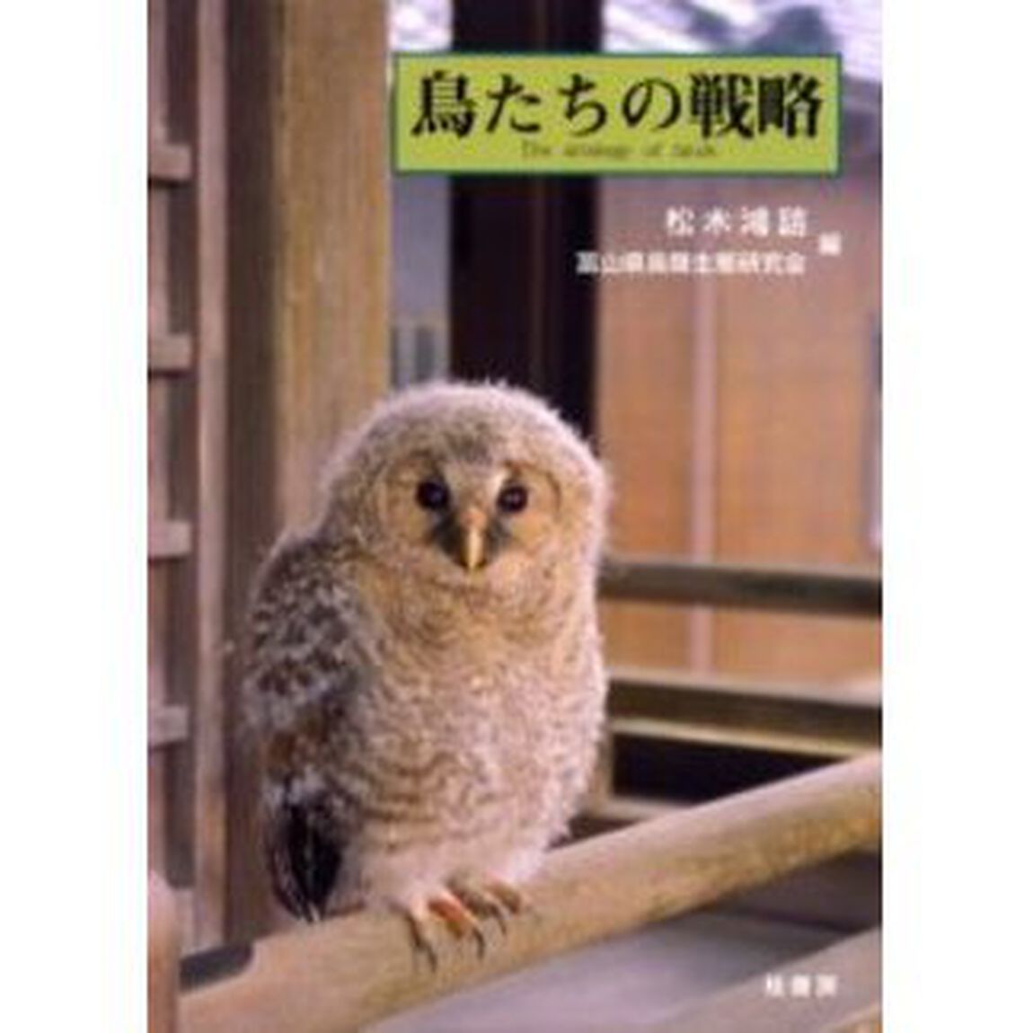 鳥たちの戦略