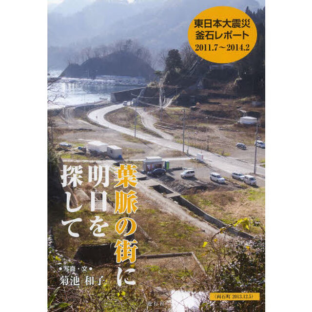 葉脈の街に明日を探して　東日本大震災釜石レポート　２０１１．７〜２０１４．２