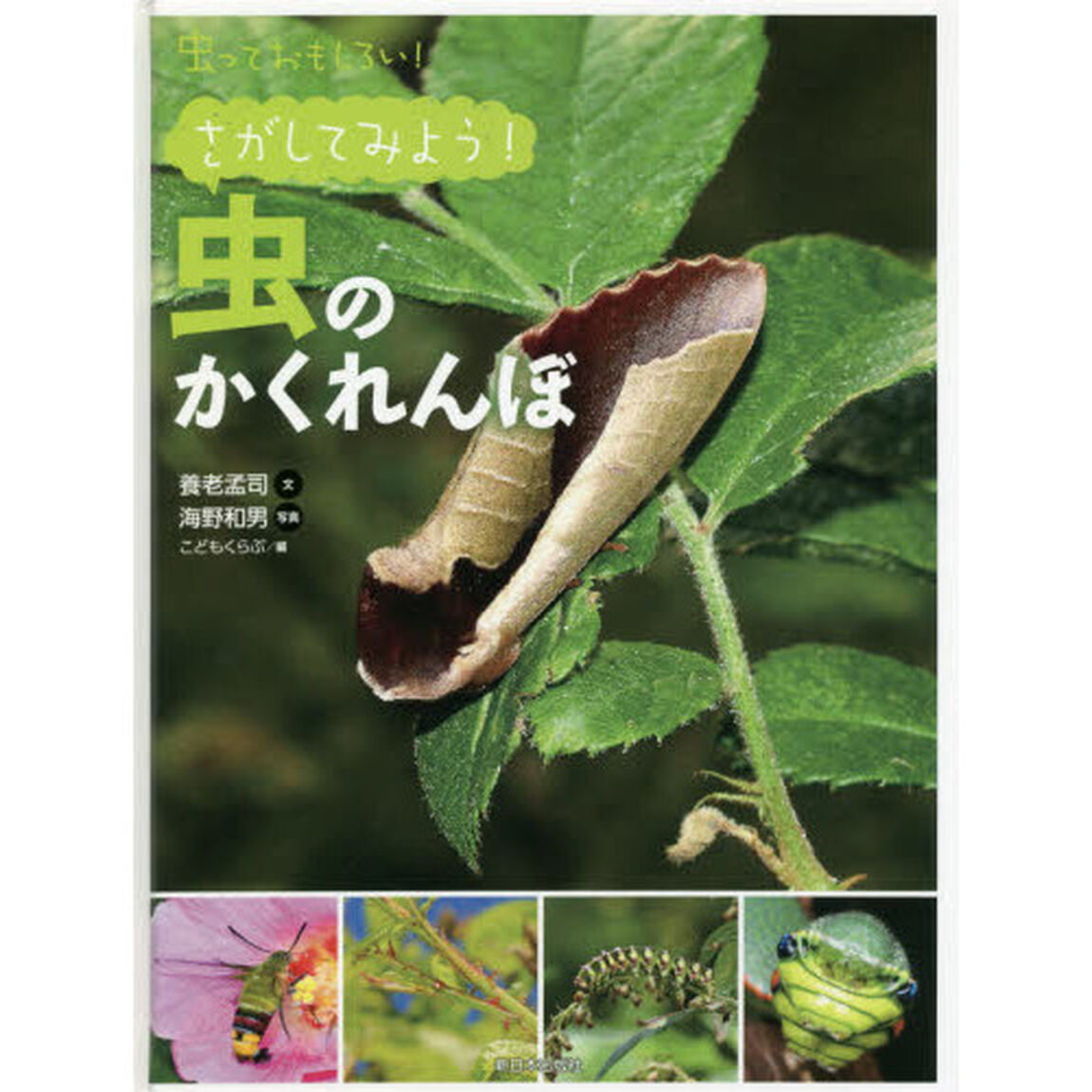 虫っておもしろい！　〔６〕「さがしてみよう！虫のかくれんぼ」