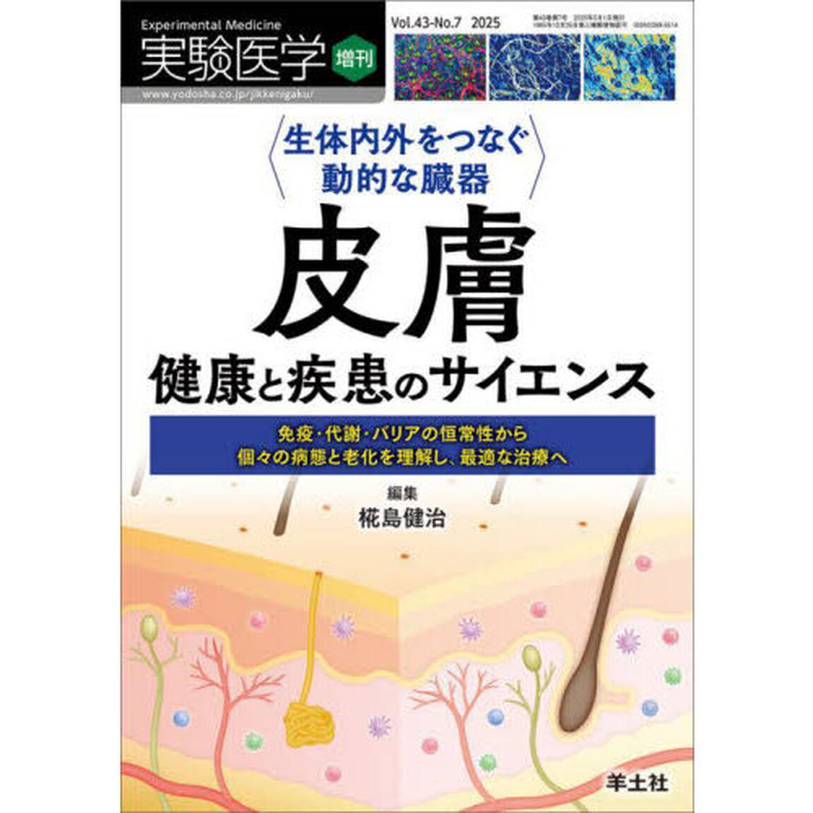 実験医学　Ｖｏｌ．４３－Ｎｏ．７（２０２５増刊）「〈生体内外をつなぐ動的な臓器〉皮膚　健康と疾患のサイエンス　免疫・代謝・バリアの恒常性から個々の病態と老化を理解し、最適な治療へ」