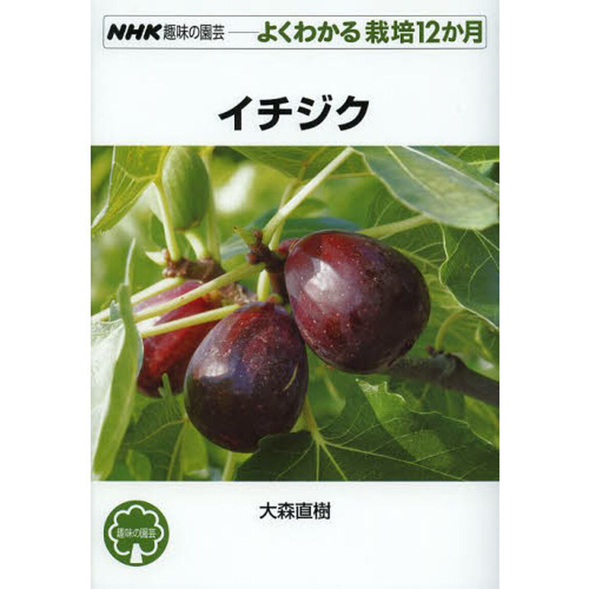 イチジク