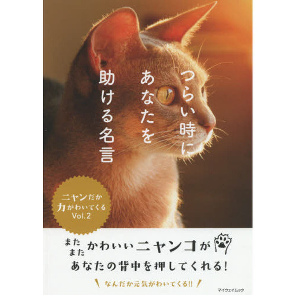 つらい時にあなたを助ける名言　ニャンだか力がわいてくる　Ｖｏｌ．２