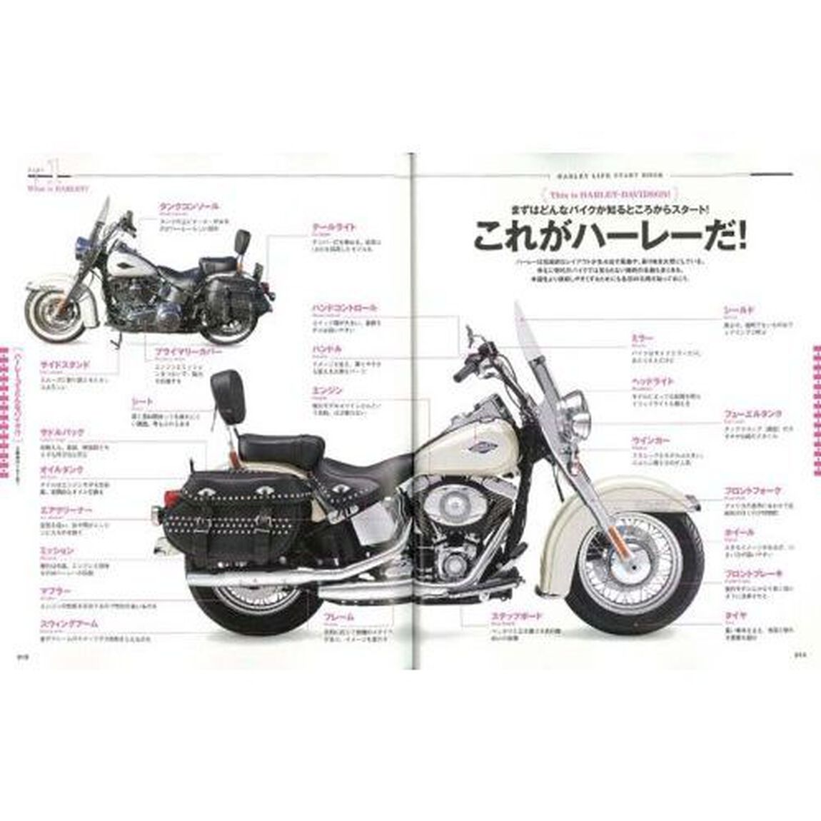 ハーレーライフスタートＢＯＯＫ　憧れのハーレーで、風を切って走ろうよ！