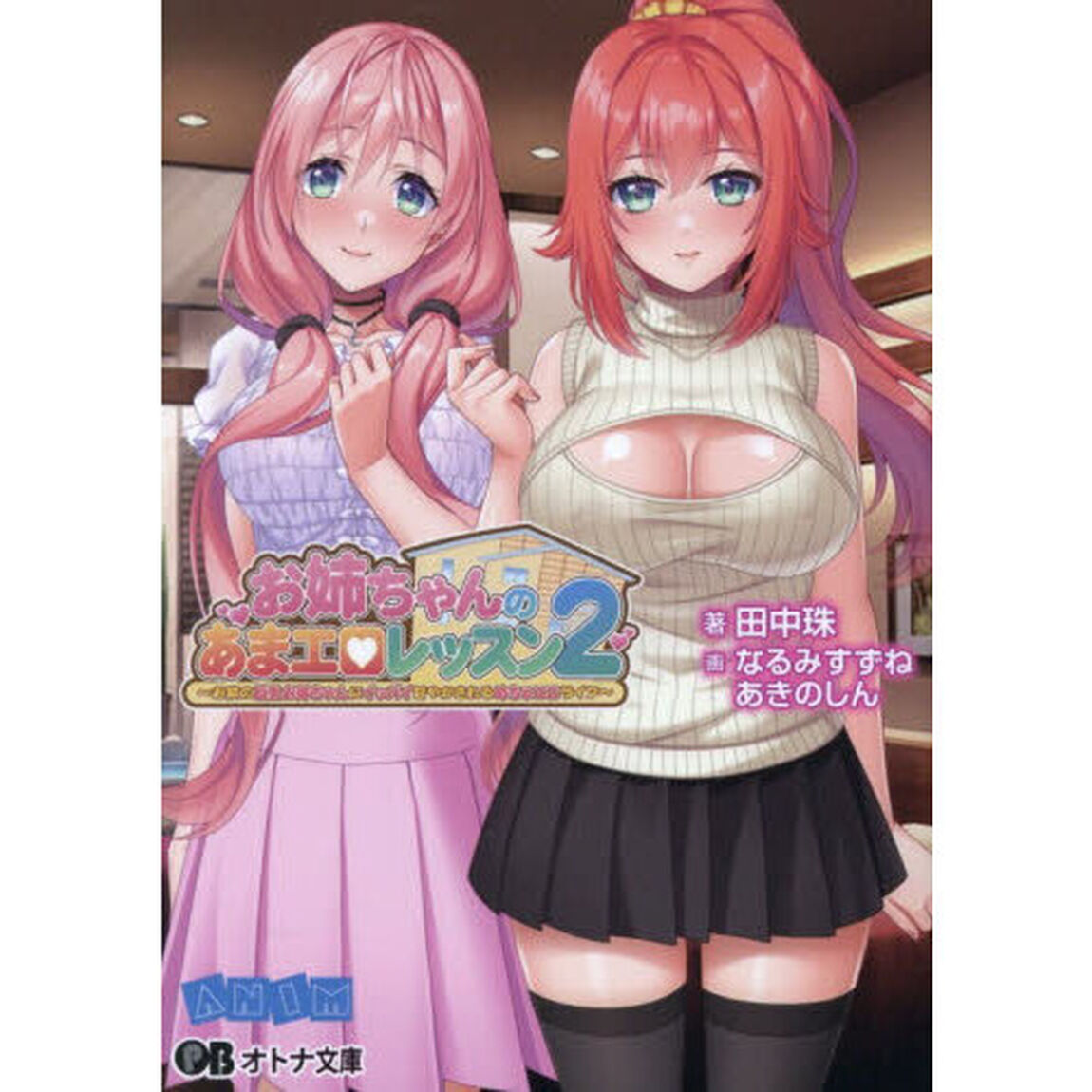 お姉ちゃんのあまエロレッスン２　お隣の巨乳お姉ちゃんにイッパイ甘やかされるめちゃエロライフ