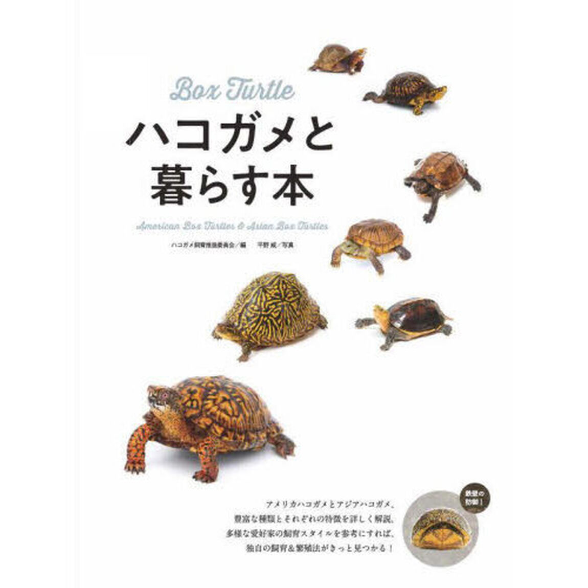 ハコガメと暮らす本
