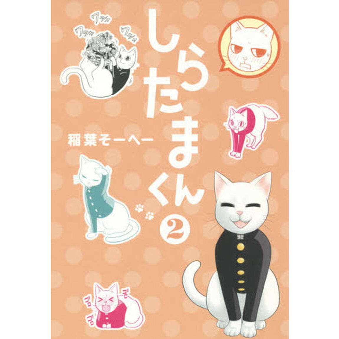 しらたまくん　２
