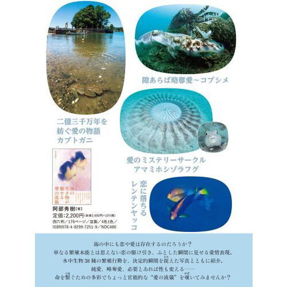 海の生き物が魅せる愛の流儀