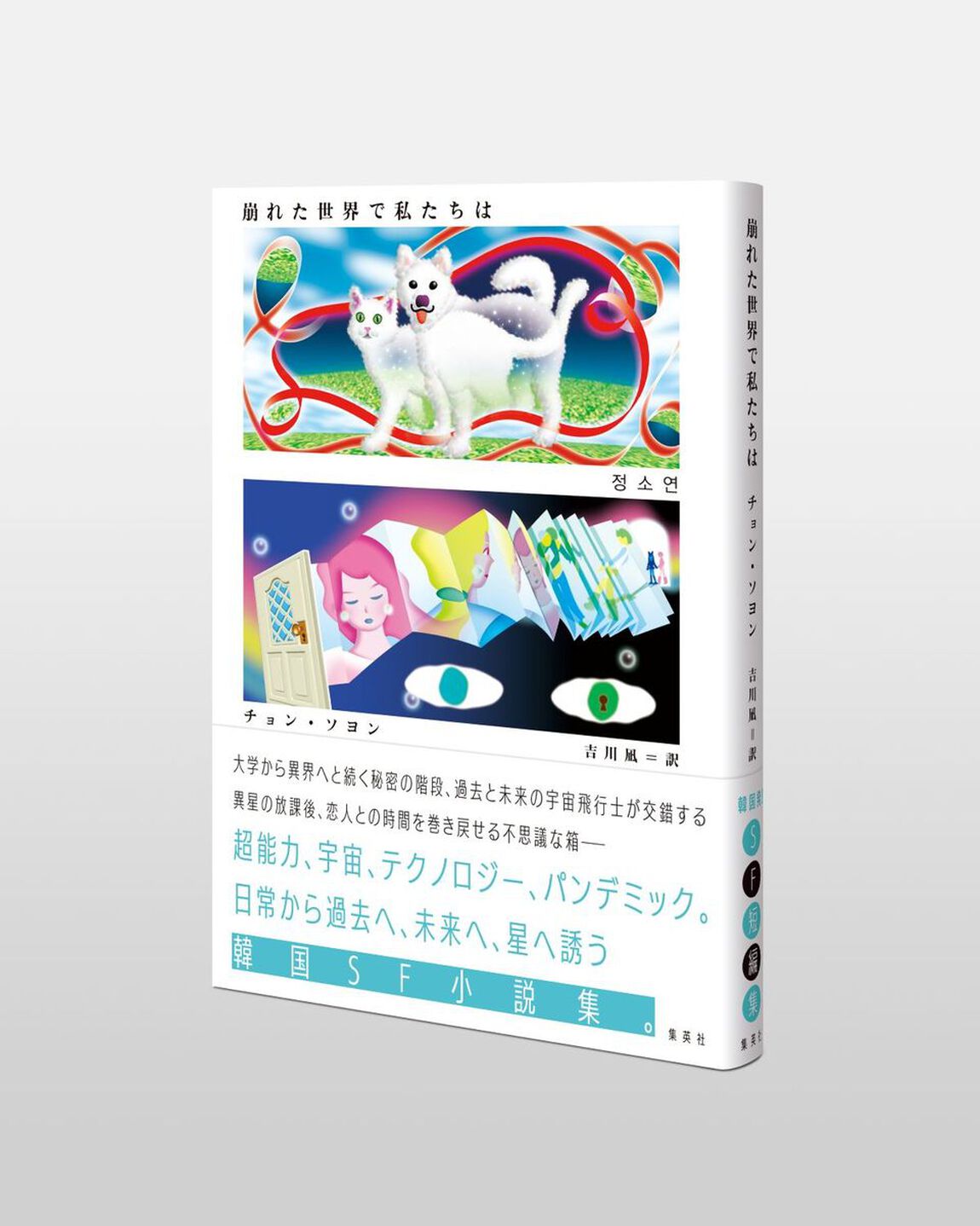 崩れた世界で私たちは