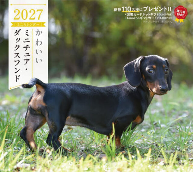 &rsquo;２７　カレンダーかわいいミニチュア