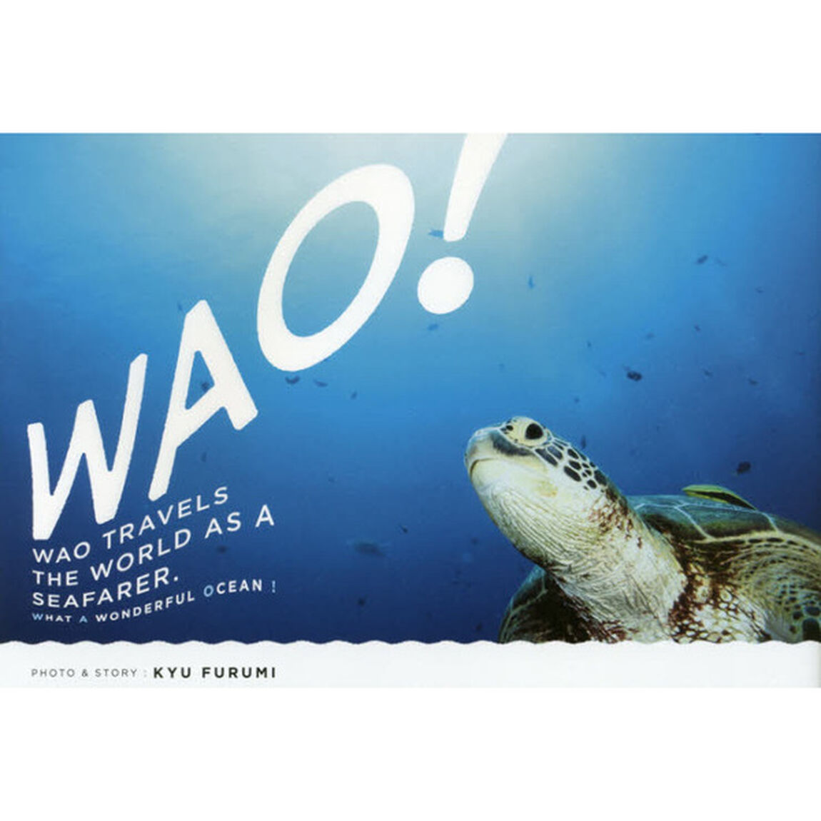 ＷＡＯ！　海の旅人、ワオの物語。
