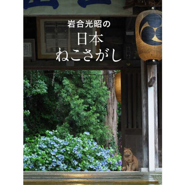 岩合光昭の日本ねこさがし