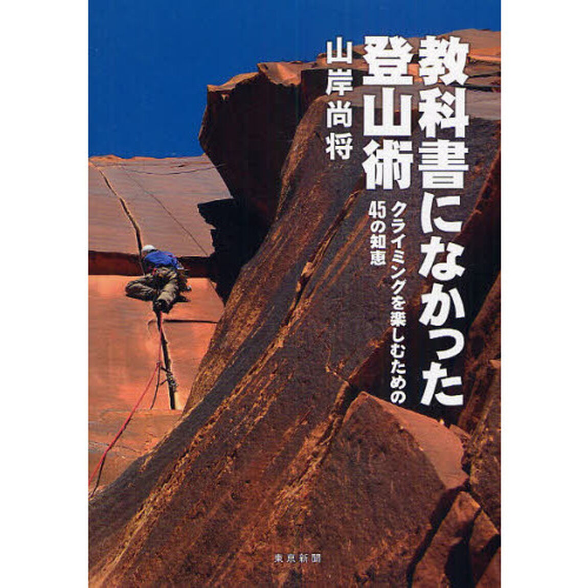 教科書になかった登山術　クライミングを楽しむための４５の知恵
