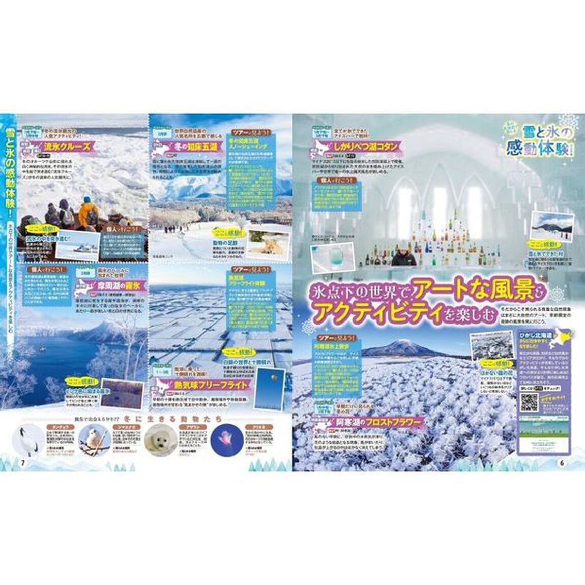 冬の北海道　〔２０２１〕