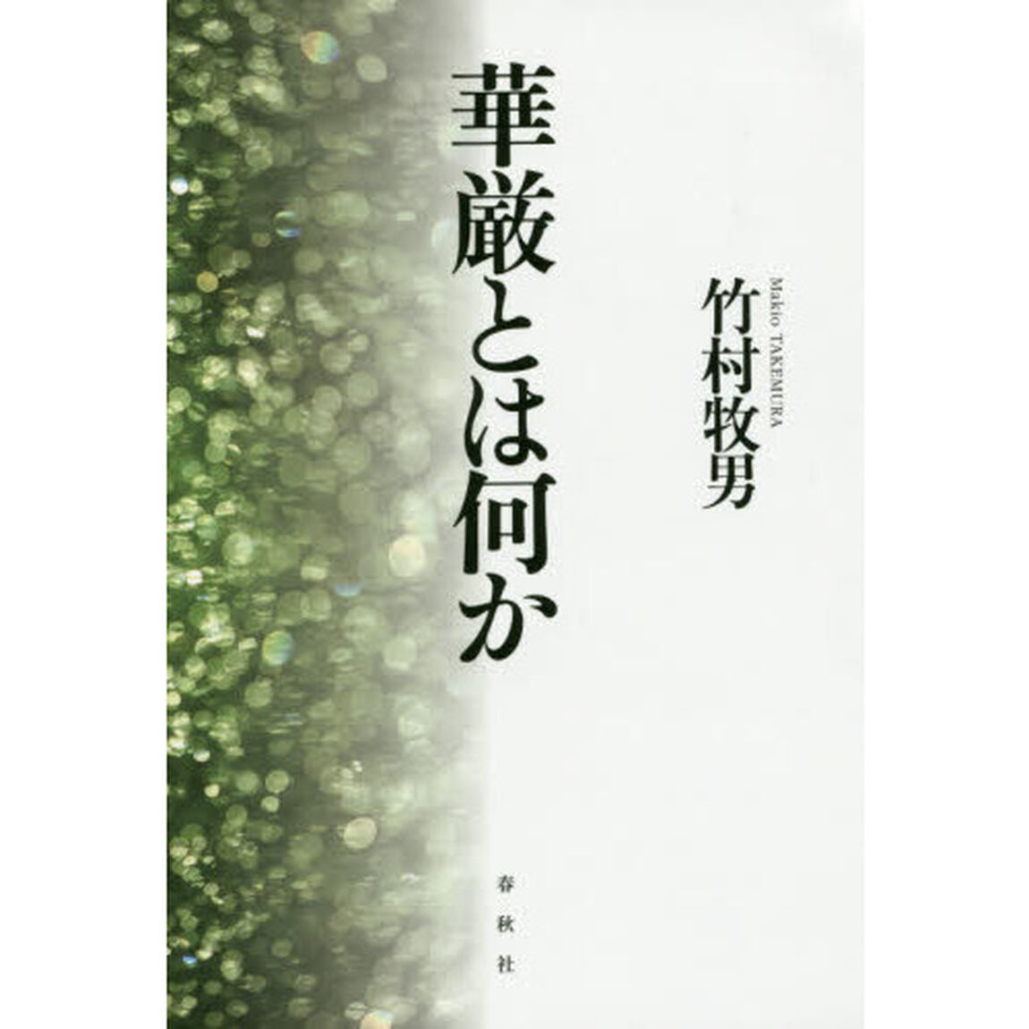 華厳とは何か　新装版