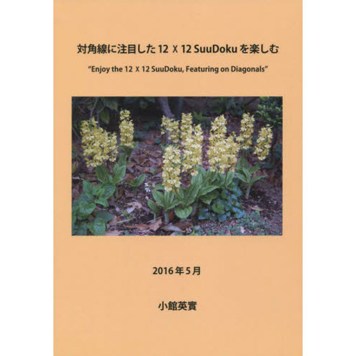 対角線に注目した１２&times;１２　ＳｕｕＤｏｋｕを楽しむ