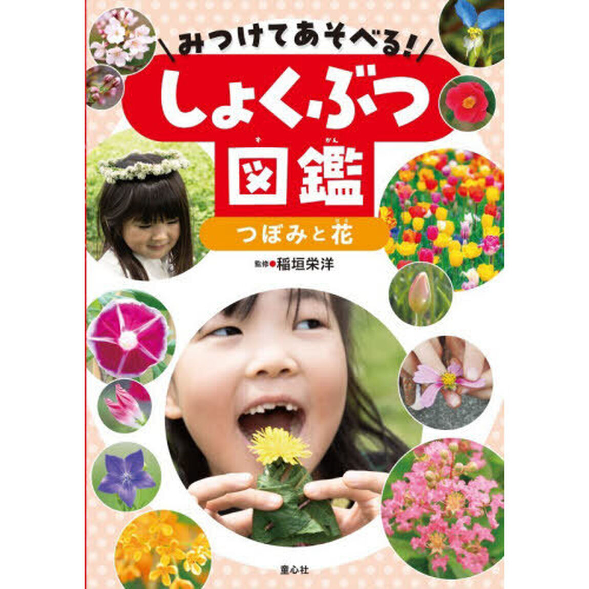 みつけてあそべる！しょくぶつ図鑑　〔１〕「つぼみと花」