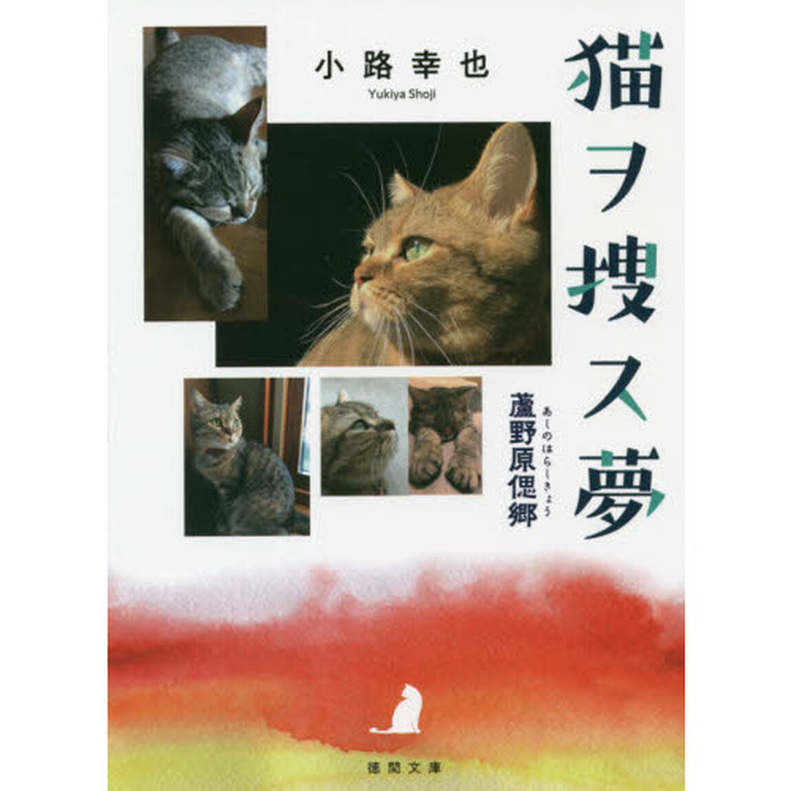 猫ヲ捜ス夢