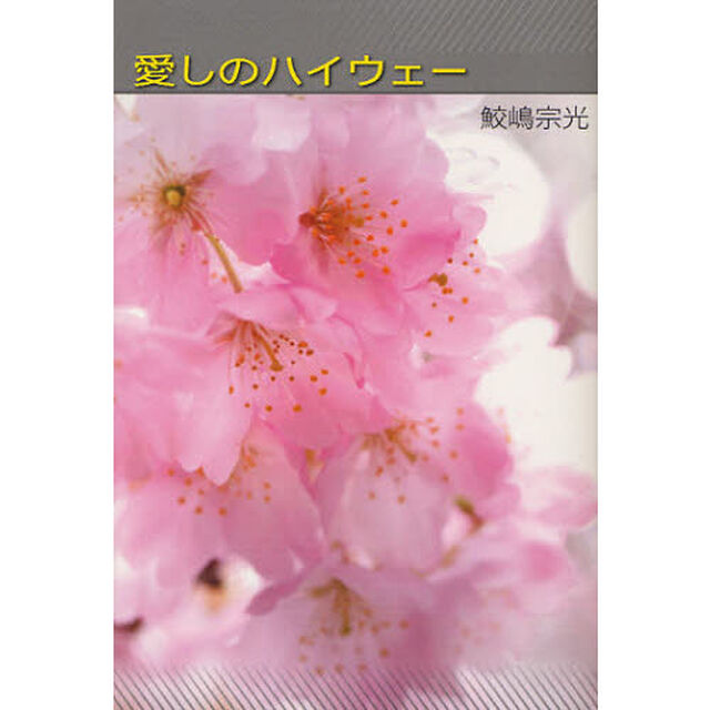 愛しのハイウェー