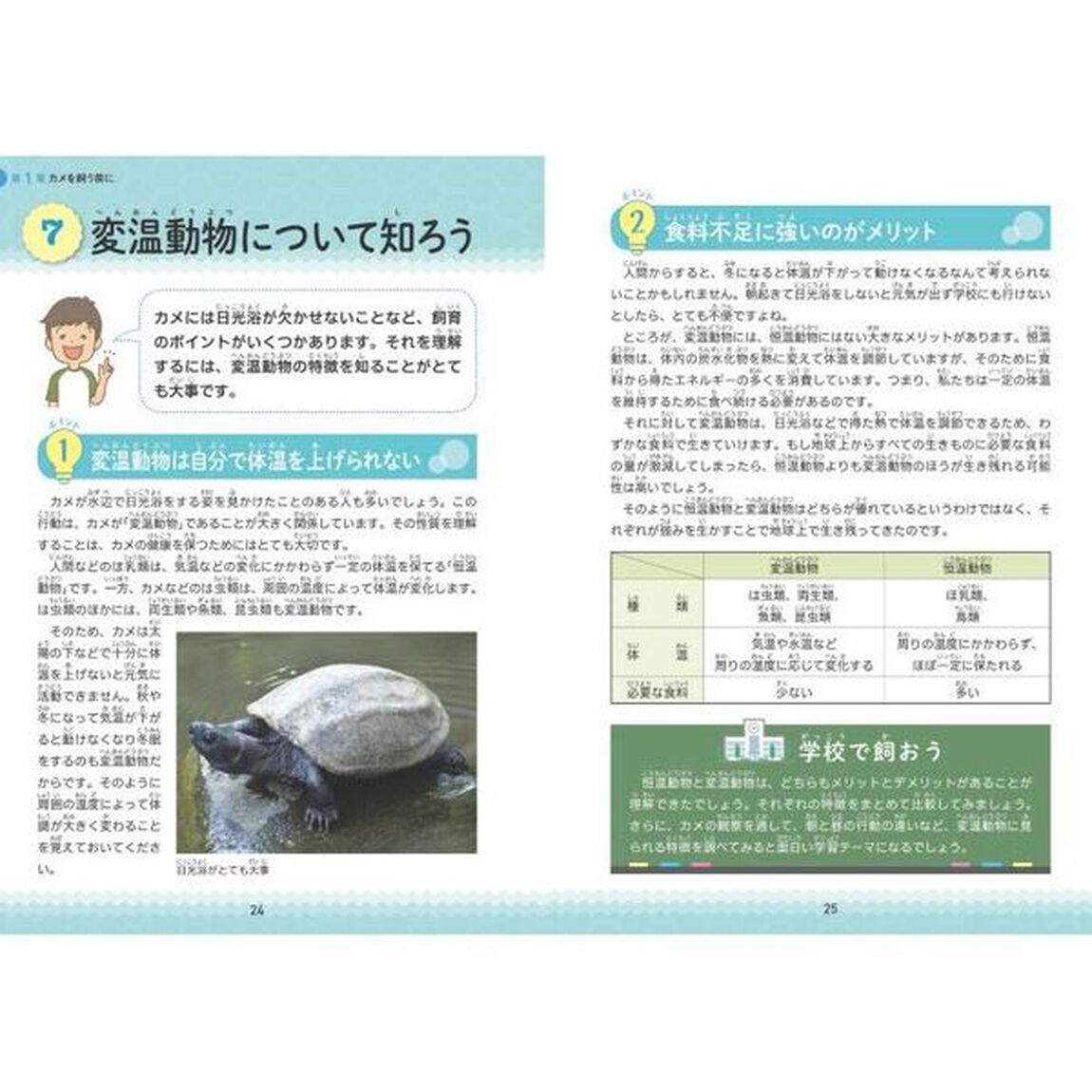 小学生でも安心！はじめてのカメ正しい飼い方・育て方