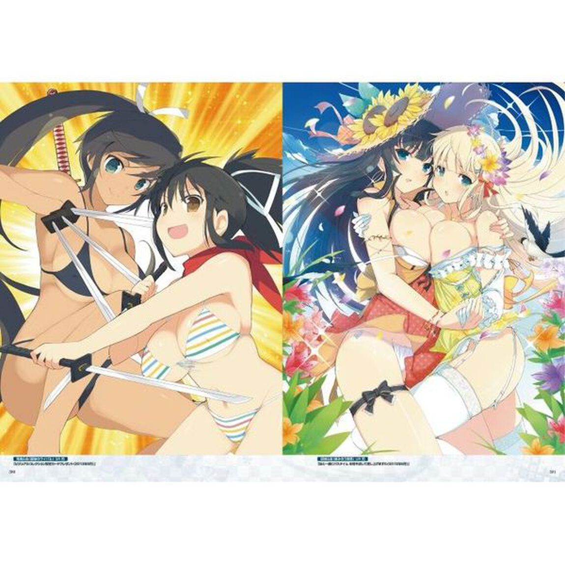 閃乱カグラＮｅｗＷａｖｅ　Ｇバースト公式ビジュアルコレクション　ＶＯＬ．２