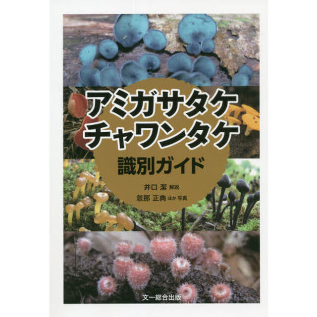 アミガサタケ・チャワンタケ識別ガイド