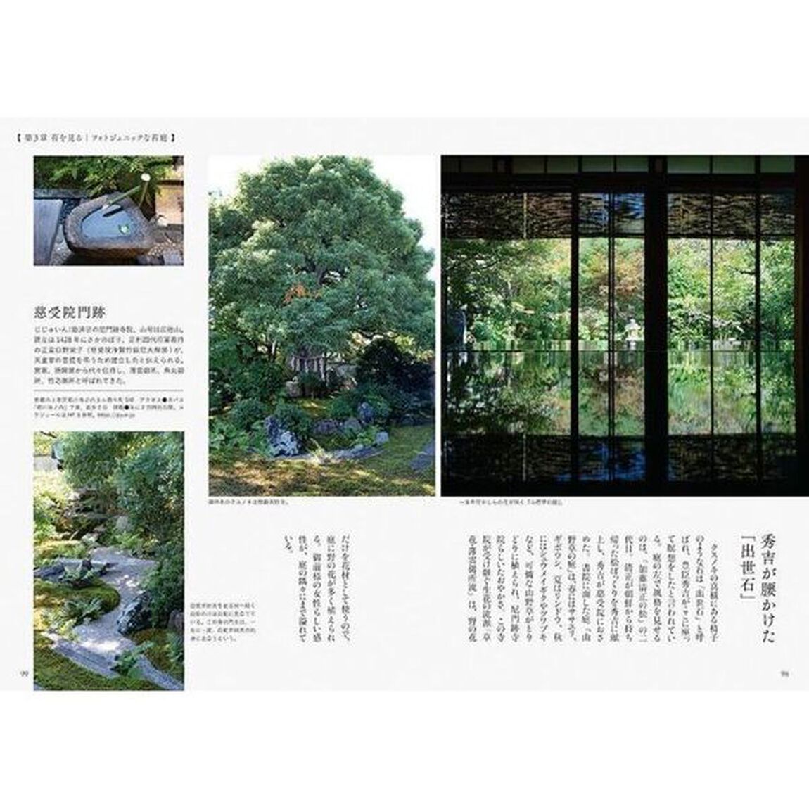 京都、美しい苔庭さんぽ　心にしみる苔景を、見る・知る・学ぶ