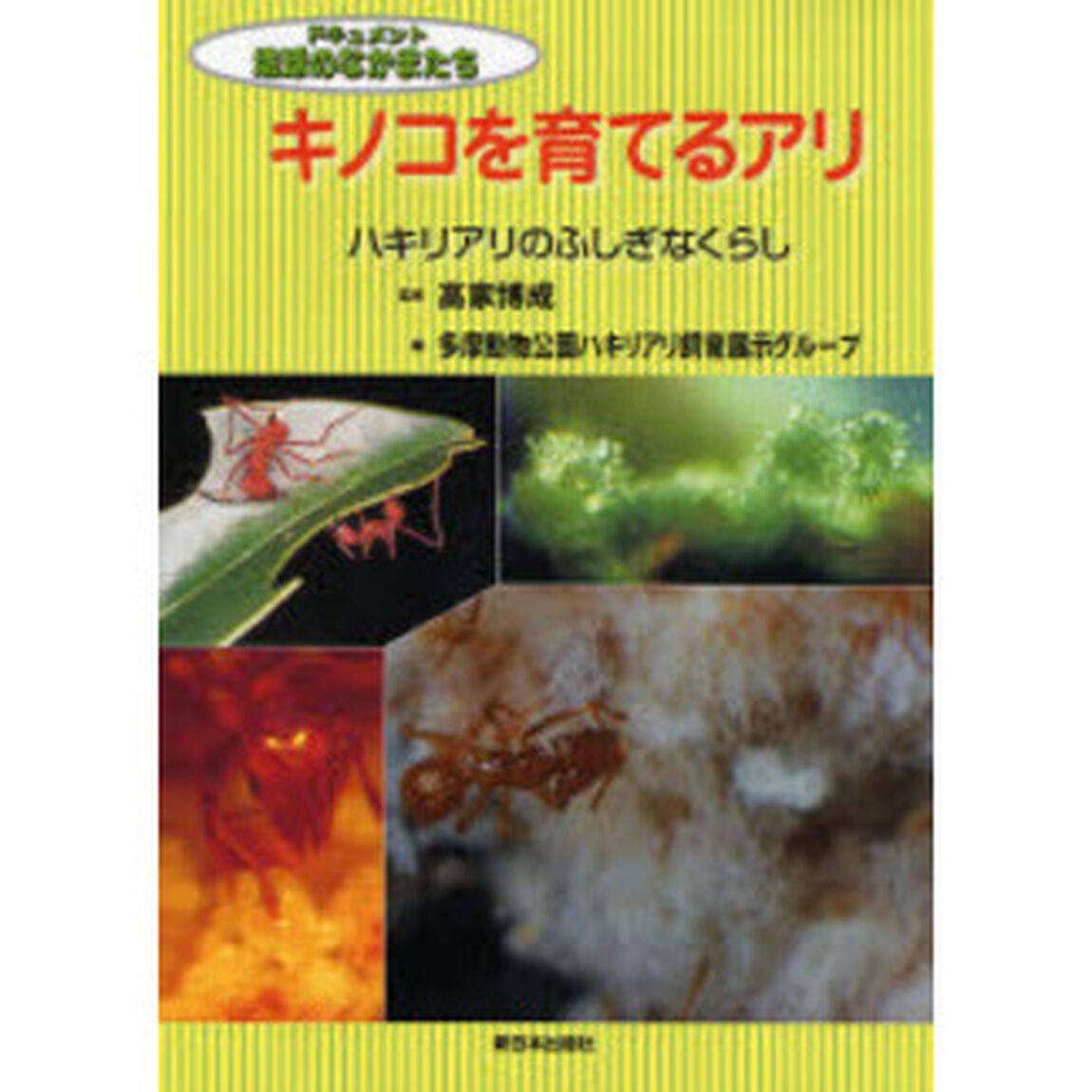 キノコを育てるアリ　ハキリアリのふしぎなくらし