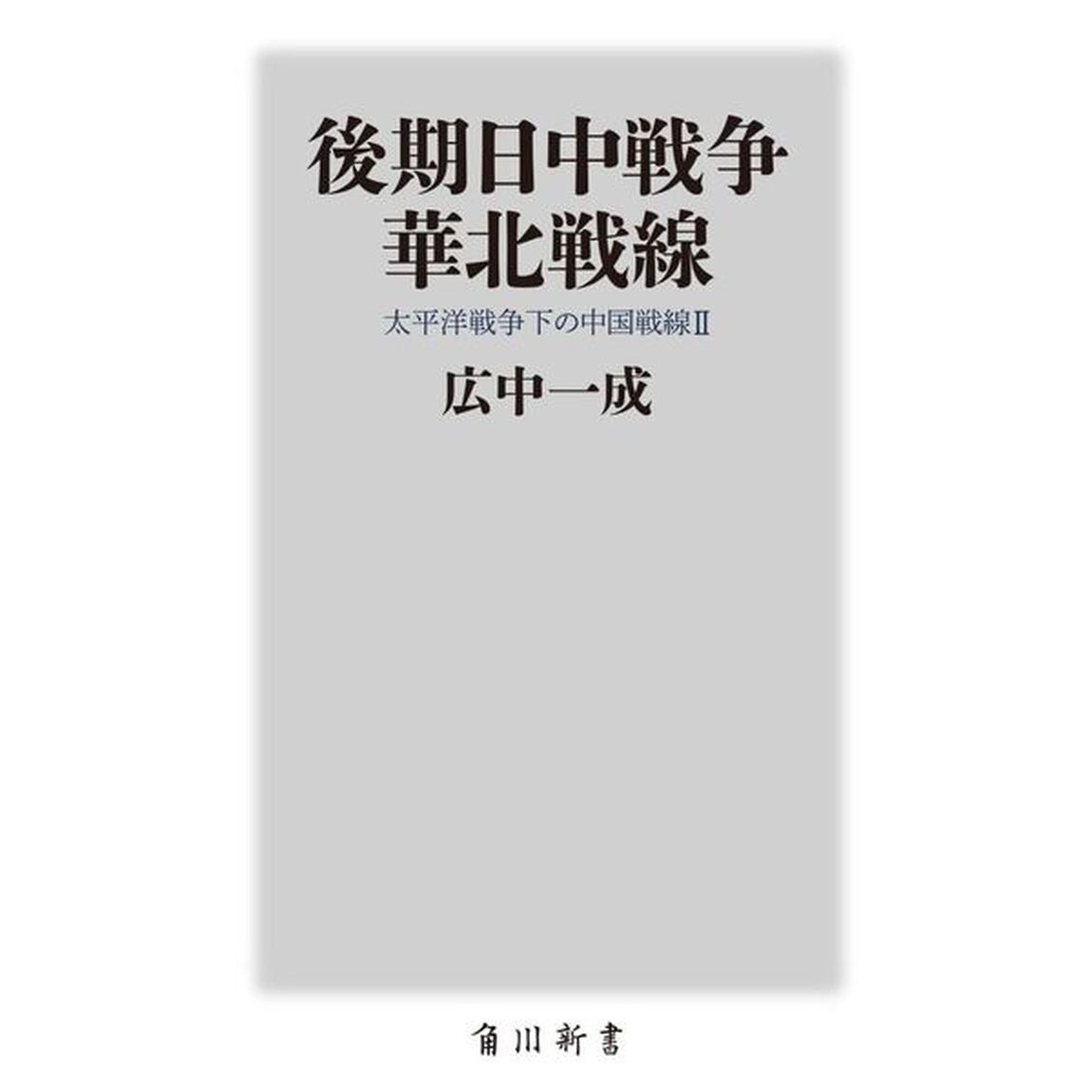 後期日中戦争華北戦線　太平洋戦争下の中国戦線　２